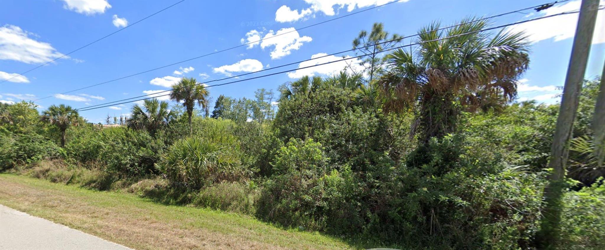 4400 24th Avenue, FL 34117, null - Photo 3