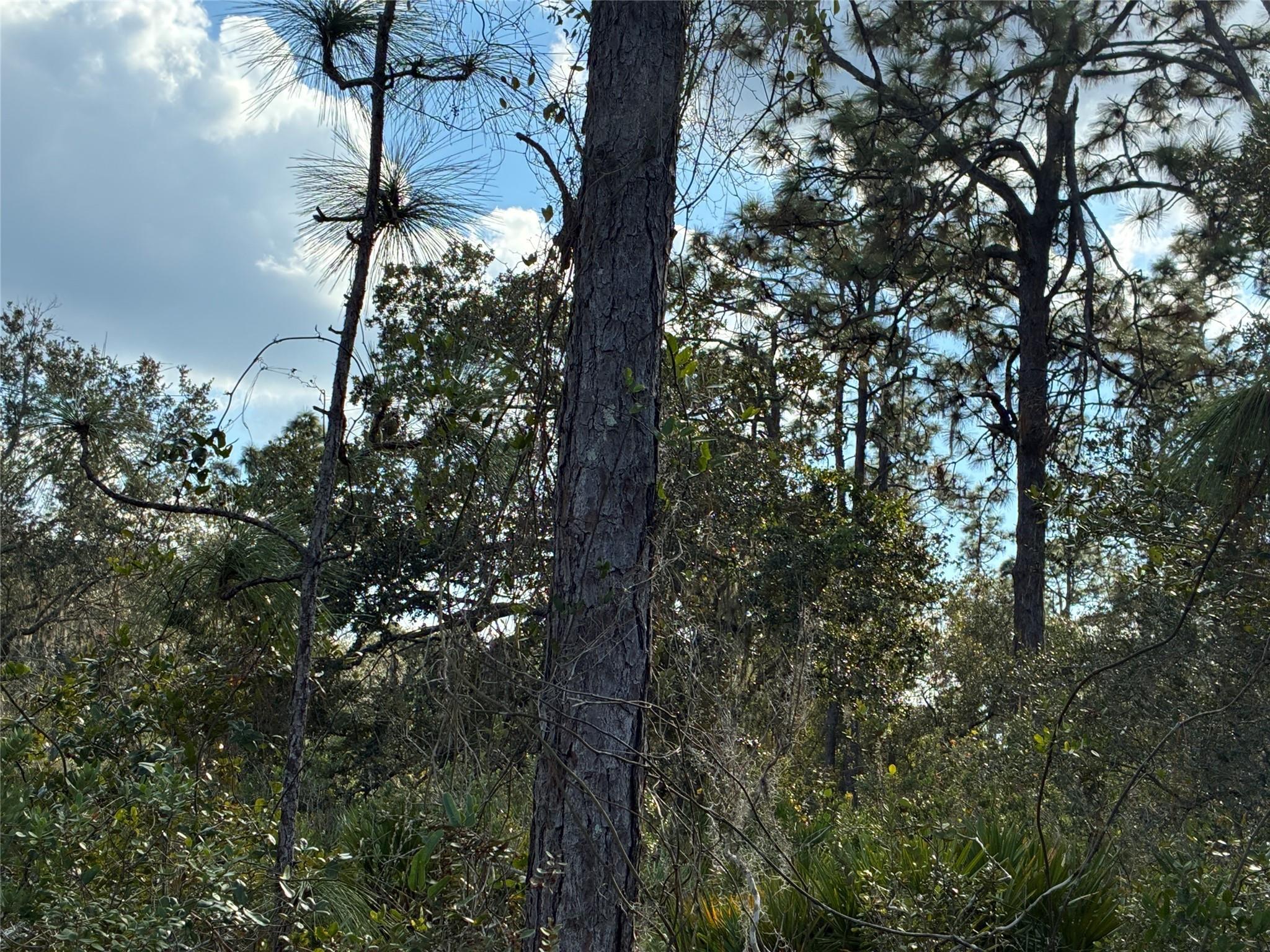Lot 21 & 22 Plumosa Drive, Indian Lake Estates, FL, Indian Lake Estates