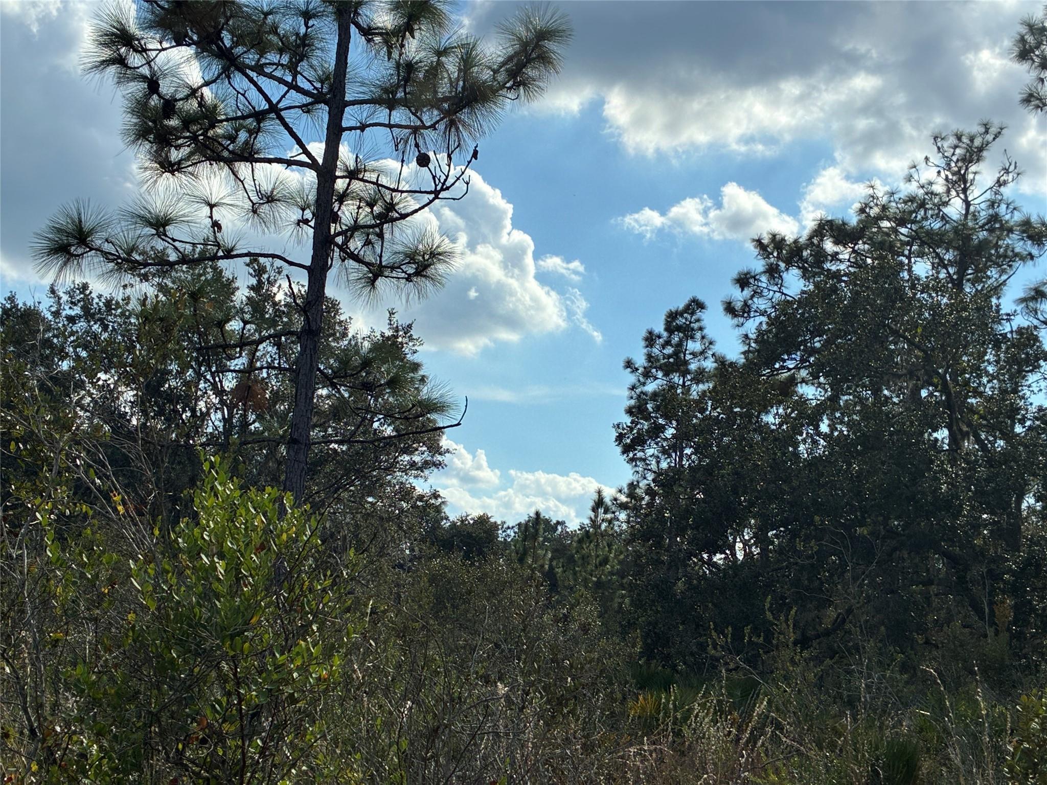 Lot 21 & 22 Plumosa Drive, Indian Lake Estates, FL, Indian Lake Estates - Photo 2
