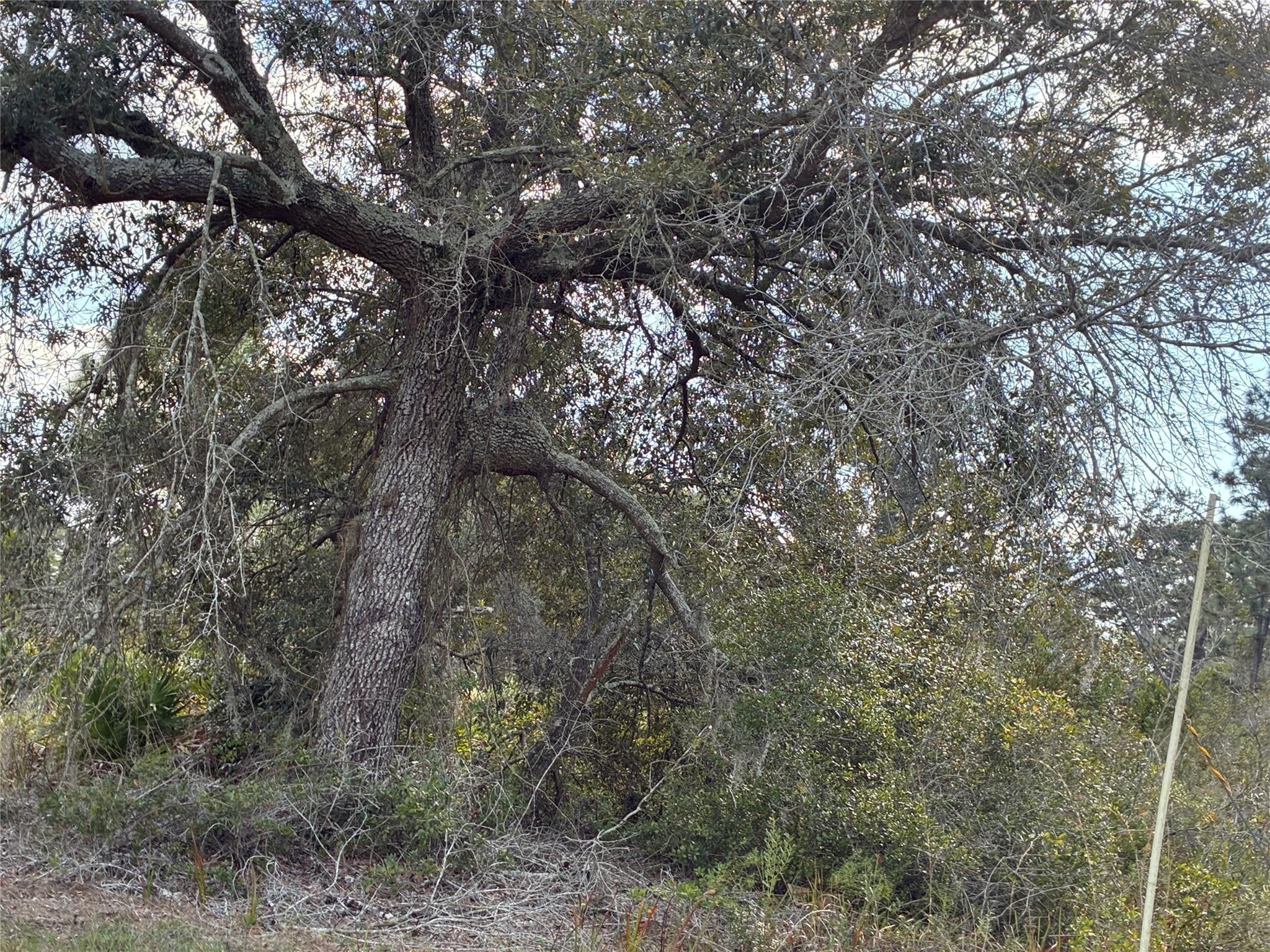 Lot 21 & 22 Plumosa Drive, Indian Lake Estates, FL, Indian Lake Estates - Photo 3