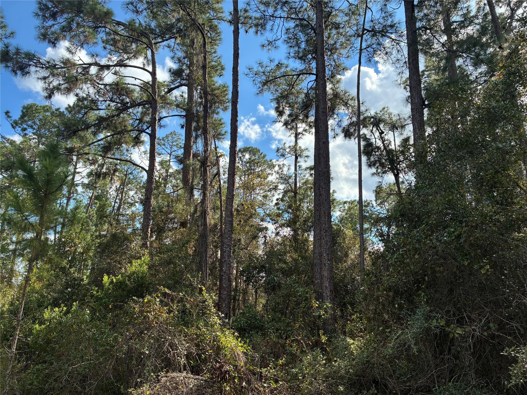 Lot 15 Park Avenue, Indian Lake Estates, FL 33855, Indian Lake Estates