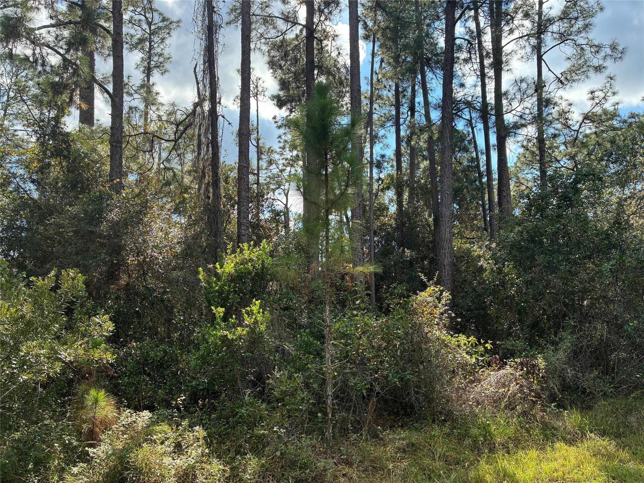 Lot 15 Park Avenue, Indian Lake Estates, FL 33855, Indian Lake Estates - Photo 2