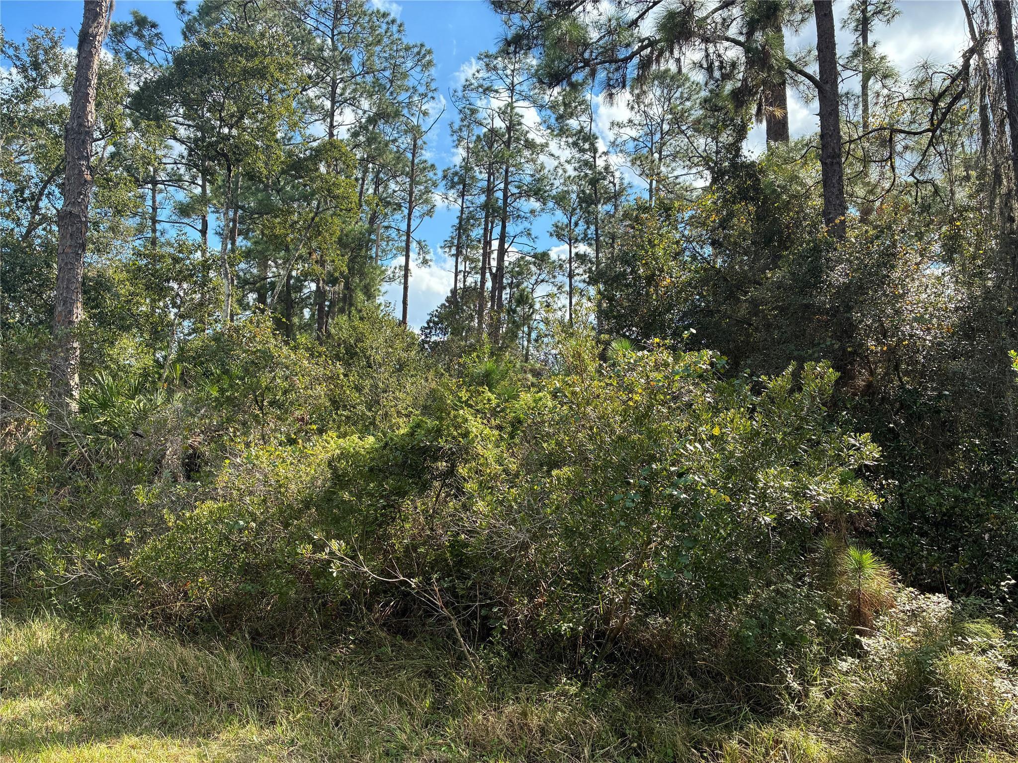 Lot 15 Park Avenue, Indian Lake Estates, FL 33855, Indian Lake Estates - Photo 3