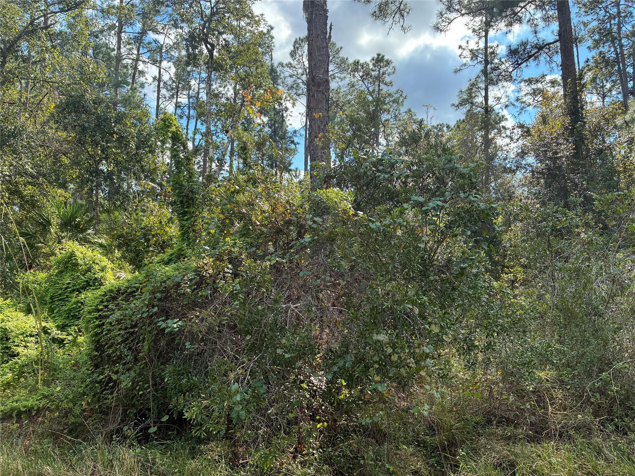 Lot 15 Park Avenue, Indian Lake Estates, FL 33855, Indian Lake Estates - Photo 4