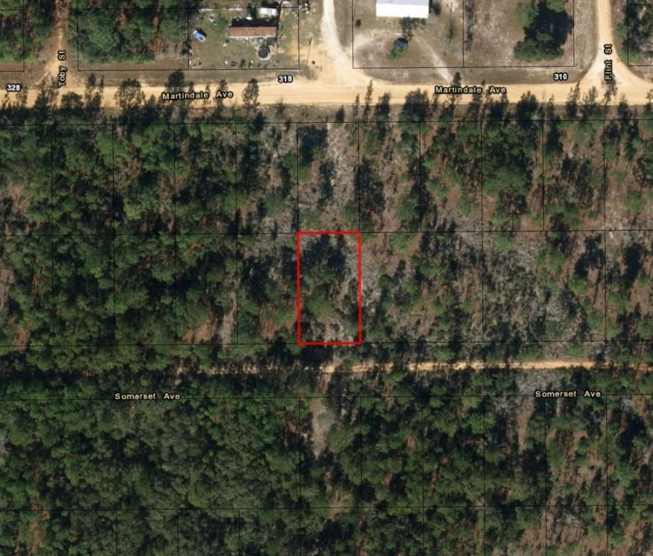 0 Somerset Avenue, Interlachen, FL 32148, Interlachen