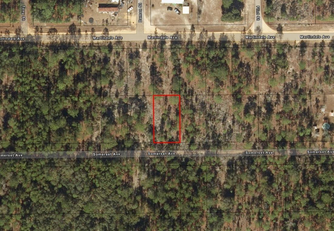 0 Somerset Avenue, Interlachen, FL 32148, Interlachen - Photo 2