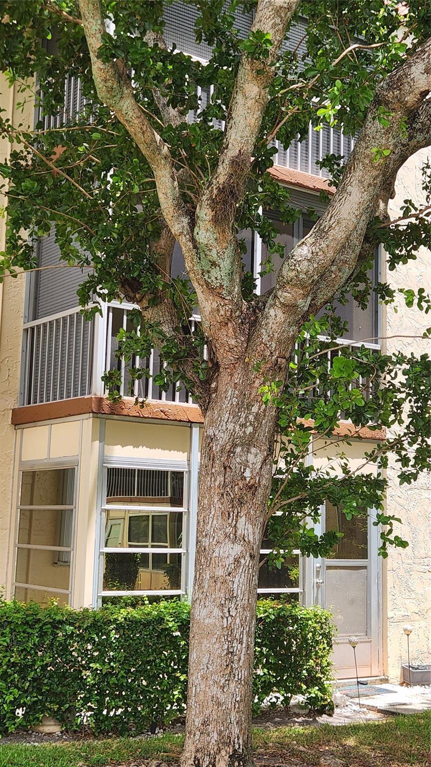 700 SE 6th Avenue 205, Deerfield Beach, FL 33441, Deerfield Beach - Photo 3