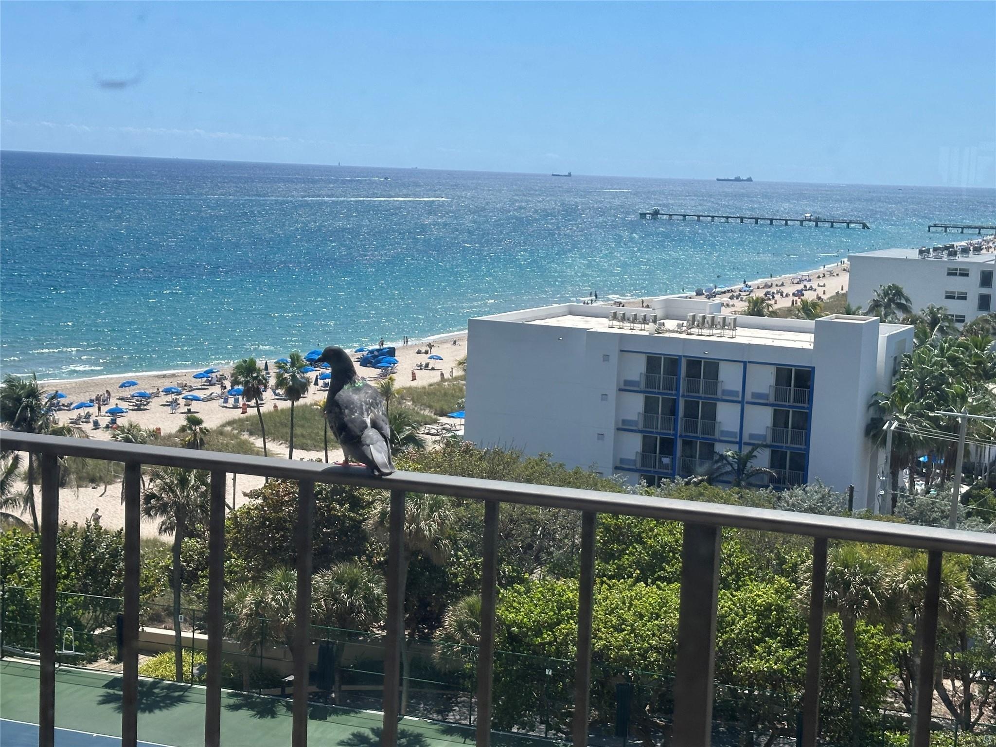4900 N Ocean Boulevard 1003, Lauderdale-By-The-Sea, FL 33308, Lauderdale-By-The-Sea