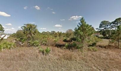 1127 Cove Street, Lehigh Acres, FL 33974, Lehigh Acres