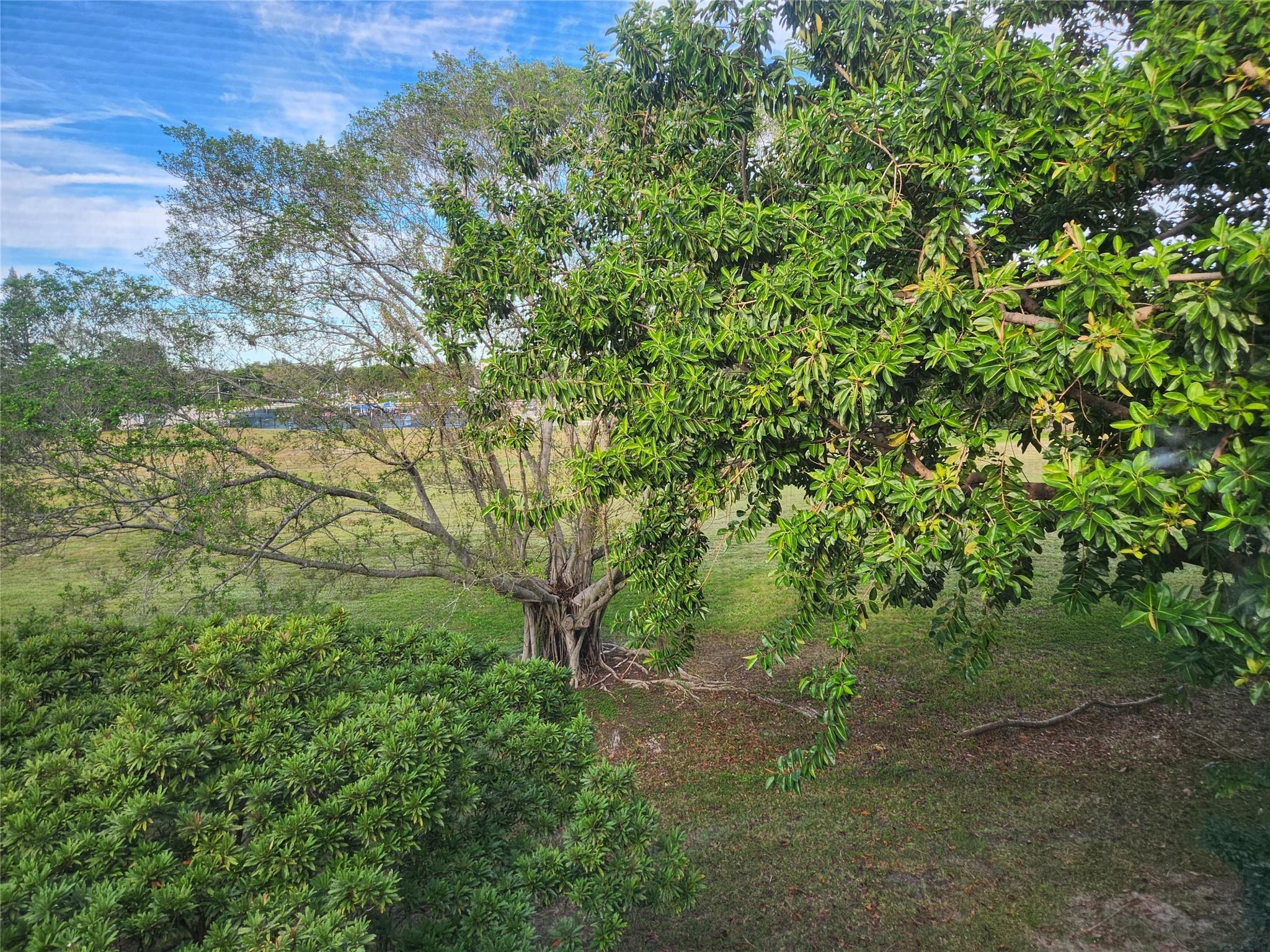 4042 Lyndhurst J 4042, Deerfield Beach, FL 33442, Deerfield Beach - Photo 4