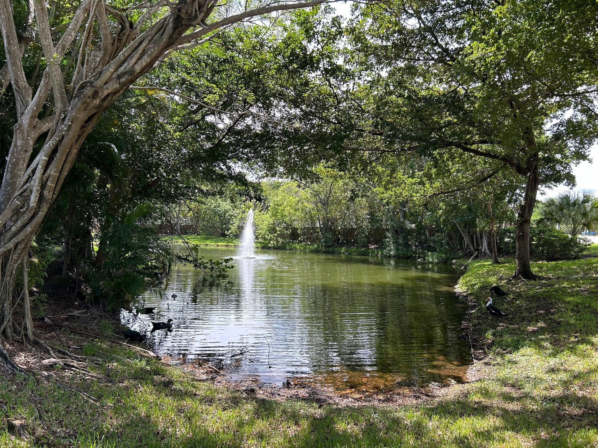 9999 Summerbreeze Drive 105, Sunrise, FL 33322, Sunrise
