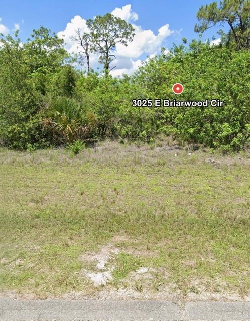 3025 E Briarwood Circle, LaBelle, FL 33935, LaBelle - Photo 5