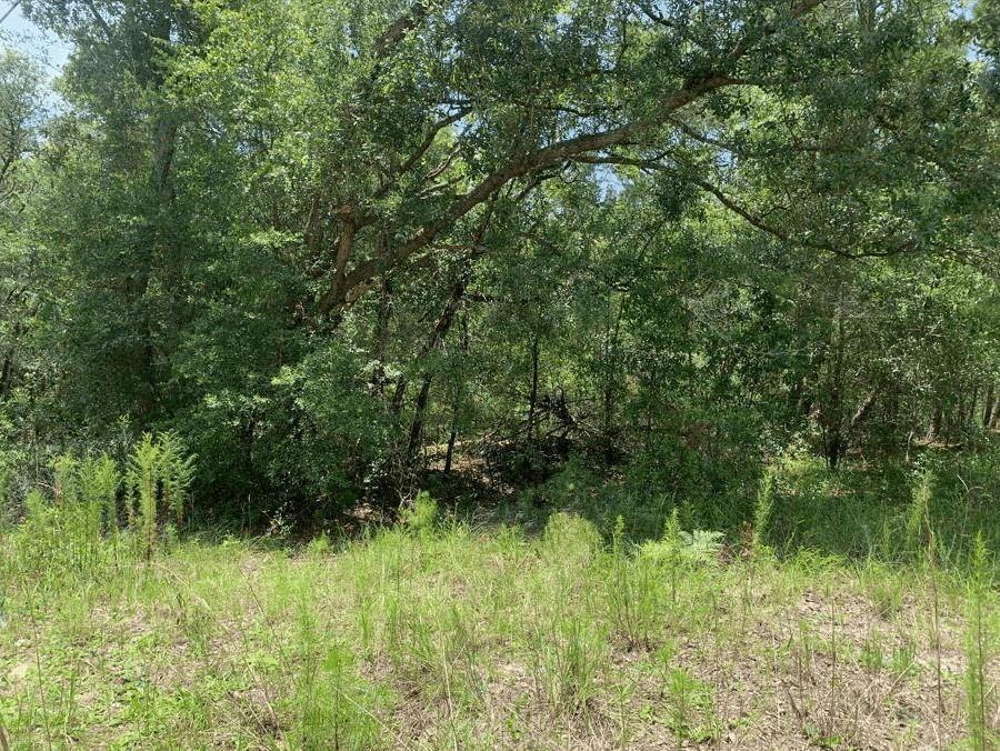 0 Oklahoma Avenue, Satsuma, FL 32189, Satsuma