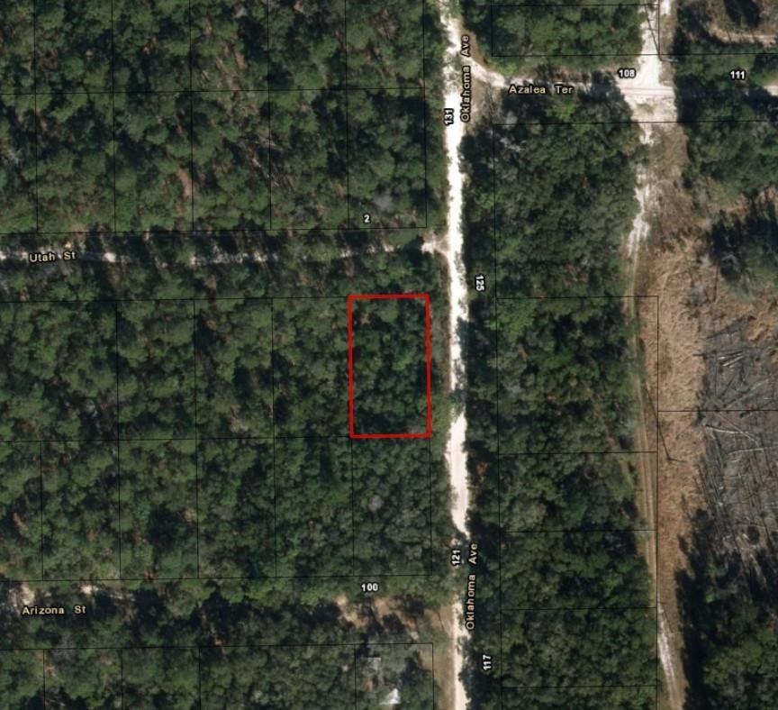 0 Oklahoma Avenue, Satsuma, FL 32189, Satsuma - Photo 2