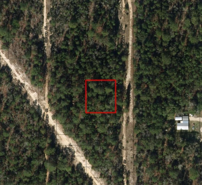 0 Citrus Street, Interlachen, FL 32148, Interlachen - Photo 2