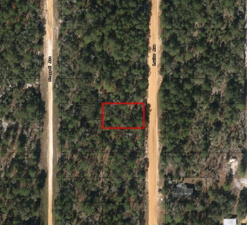 0 Louise Avenue, Interlachen, FL 32148, Interlachen - Photo 2