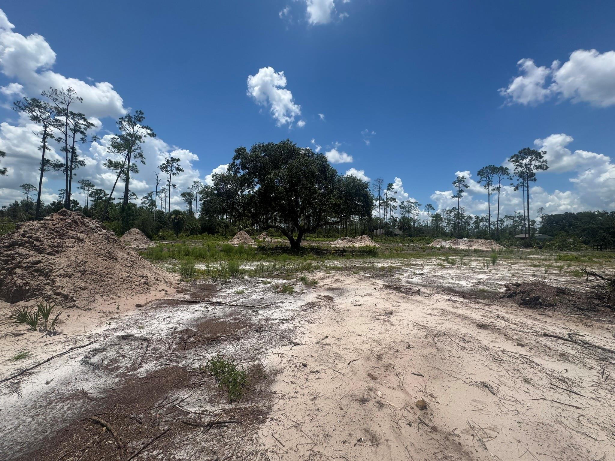 32801 Highway 441, Okeechobee, FL 34972, Okeechobee - Photo 4