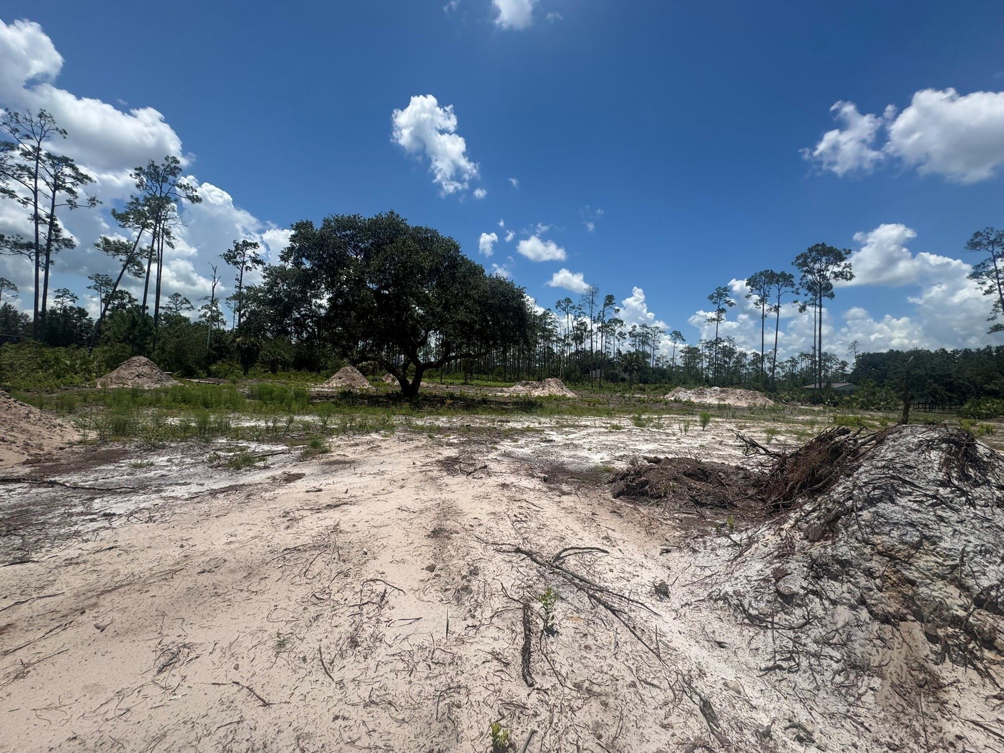 32801 Highway 441, Okeechobee, FL 34972, Okeechobee - Photo 5