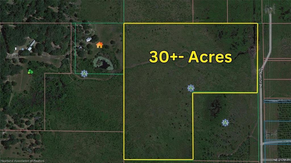 0 NE 125th Avenue, Fort McCoy, FL 32134, Fort McCoy