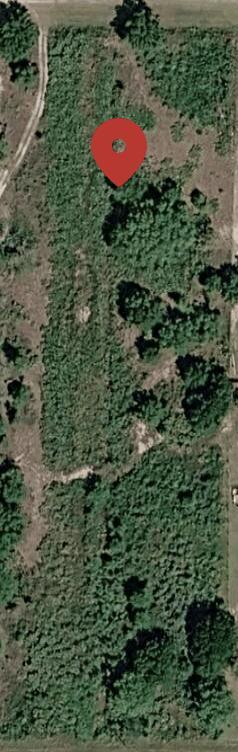 15030 NW 258th Street, Okeechobee, FL 34972, Okeechobee