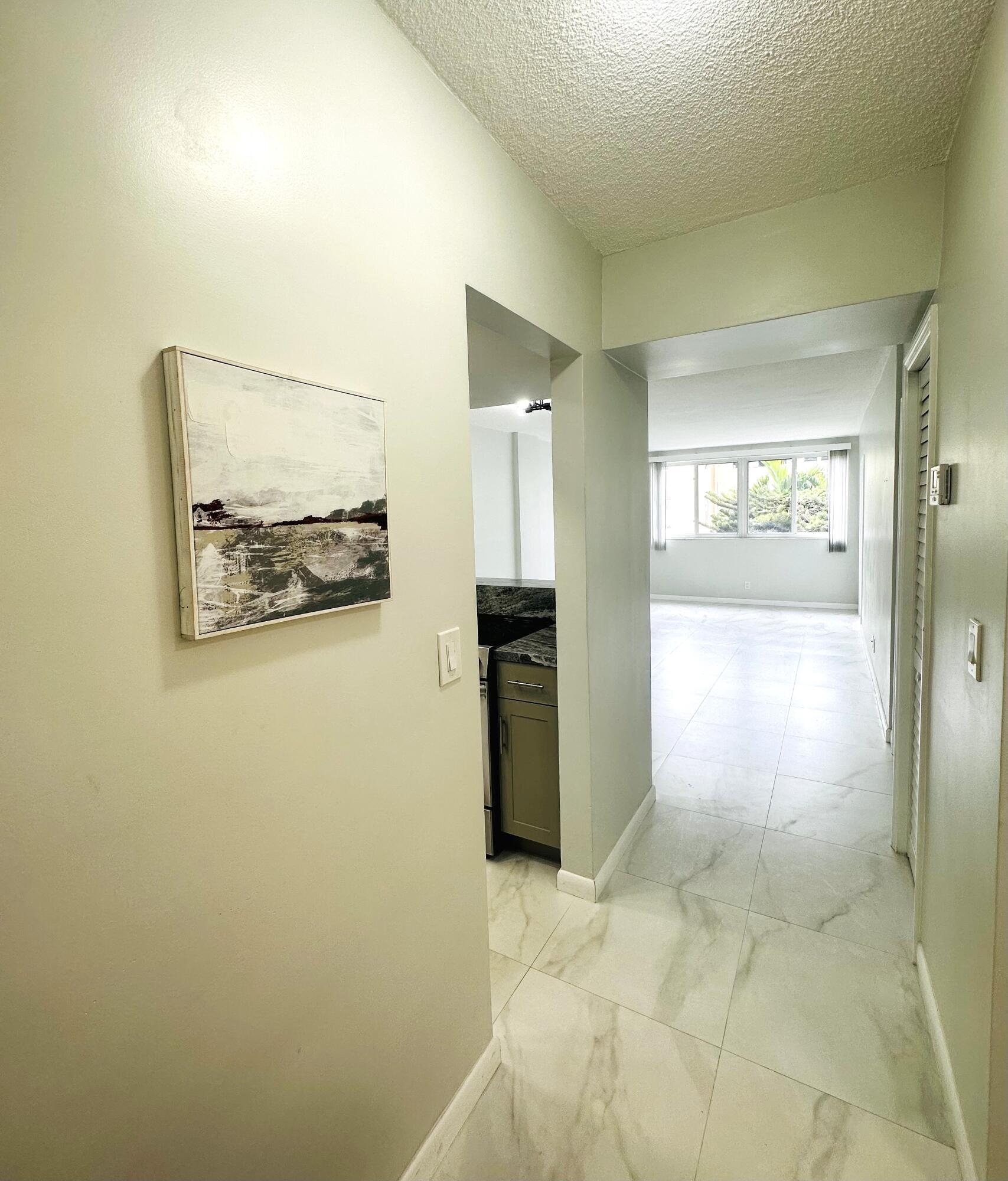 1333 E Hallandale Beach Boulevard 302, Hallandale Beach, FL 33009, Hallandale Beach - Photo 4