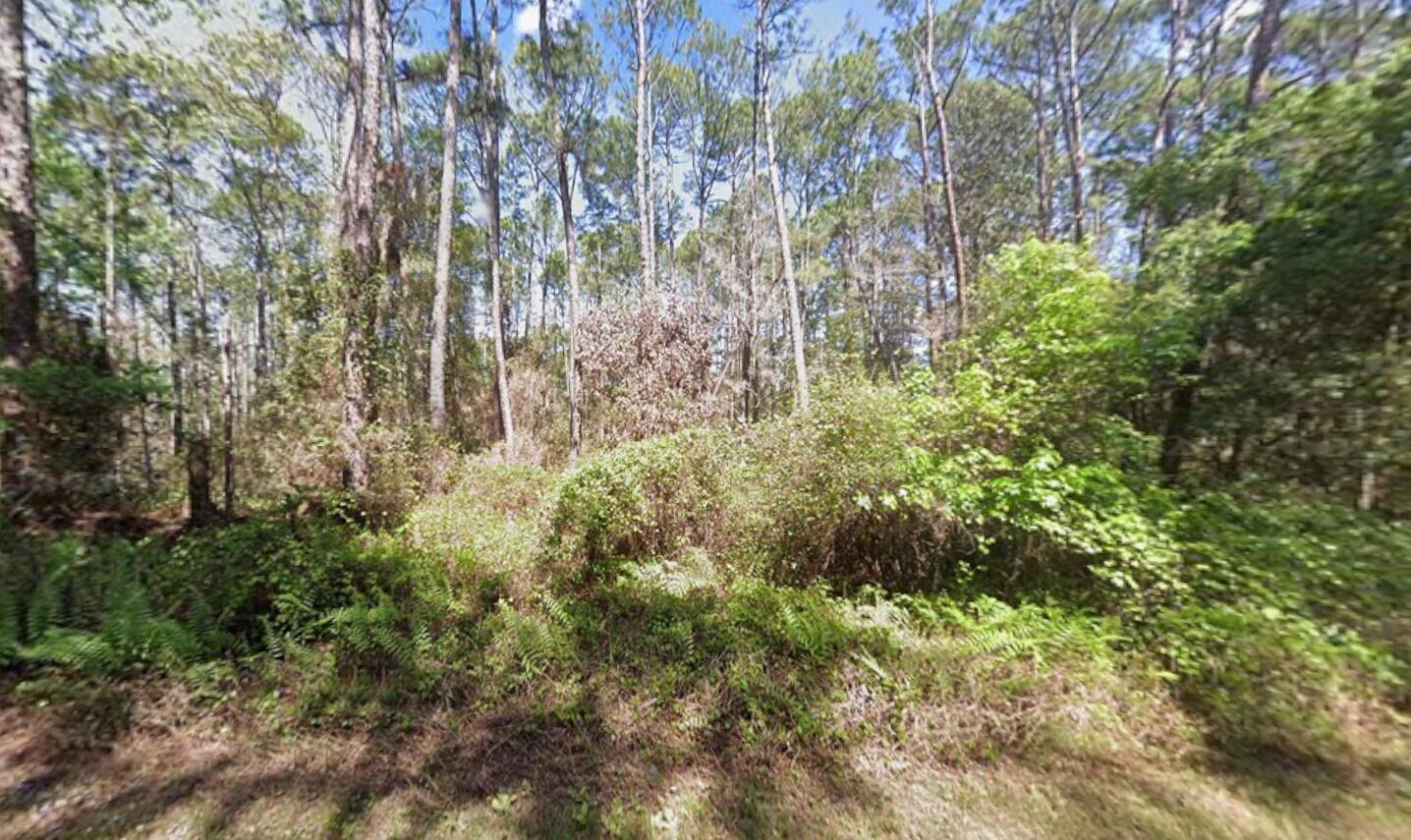 416 Palm Way, Georgetown, FL 32139, Georgetown
