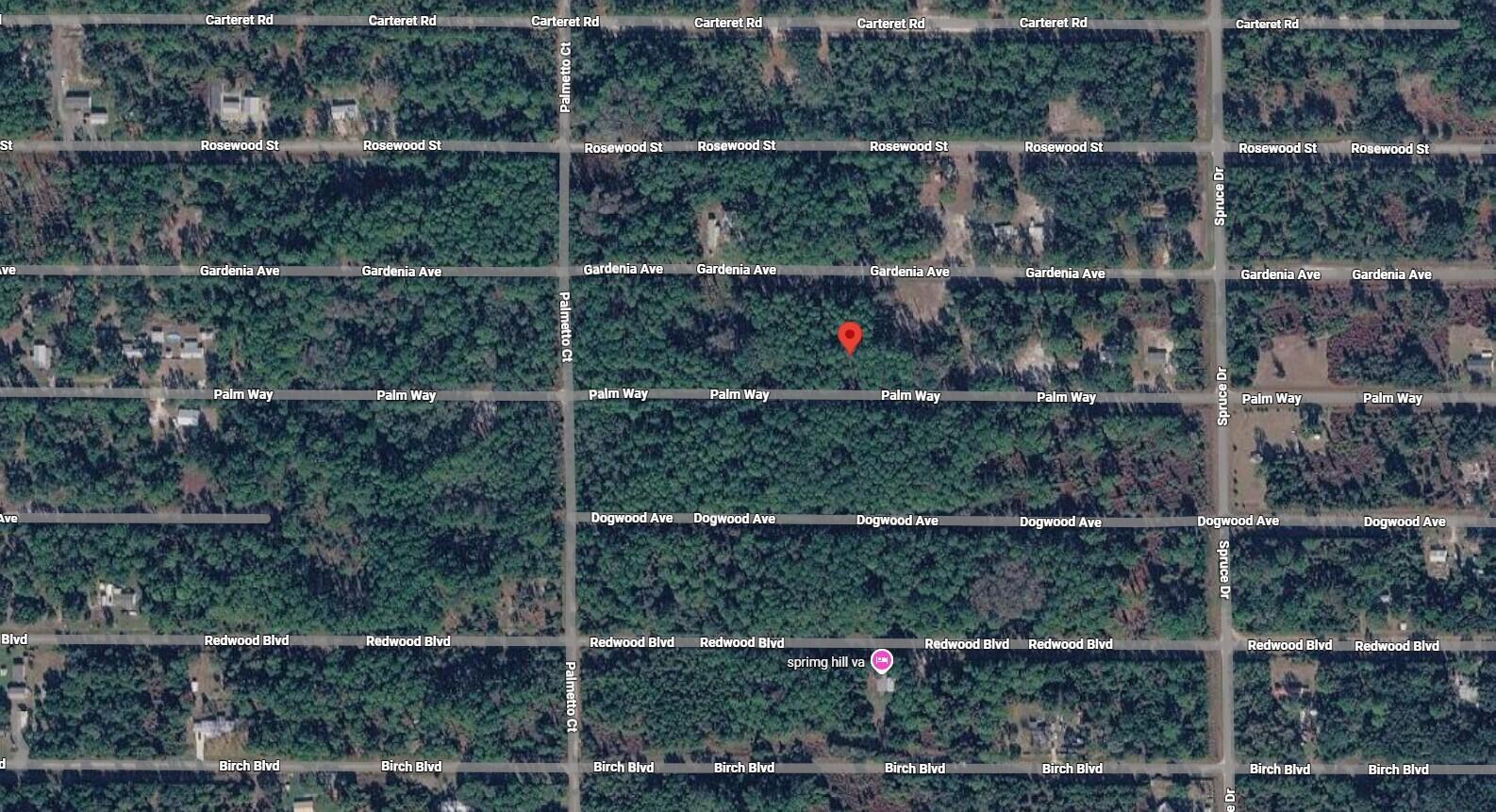 416 Palm Way, Georgetown, FL 32139, Georgetown - Photo 5