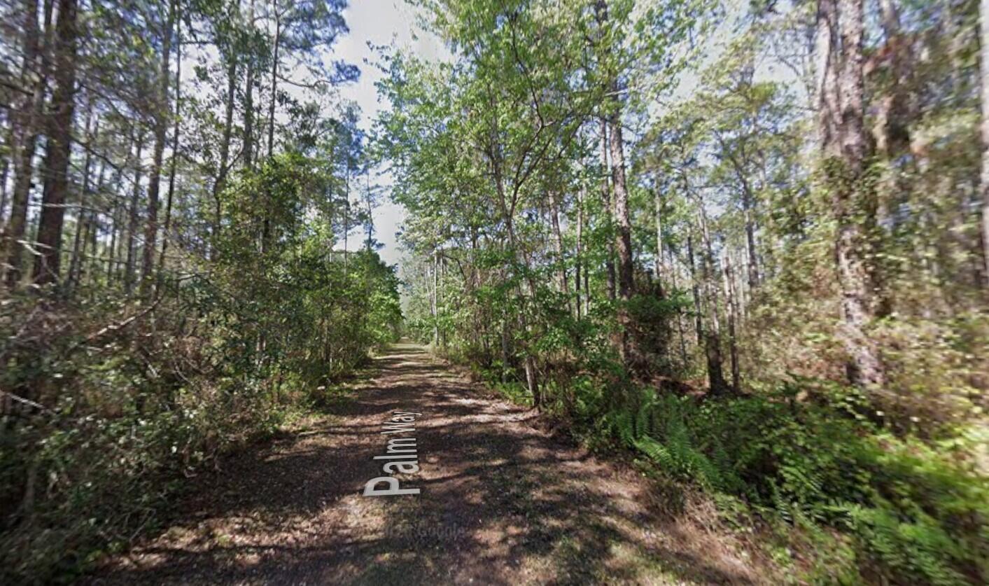 418 Palm Way, Georgetown, FL 32139, Georgetown - Photo 3