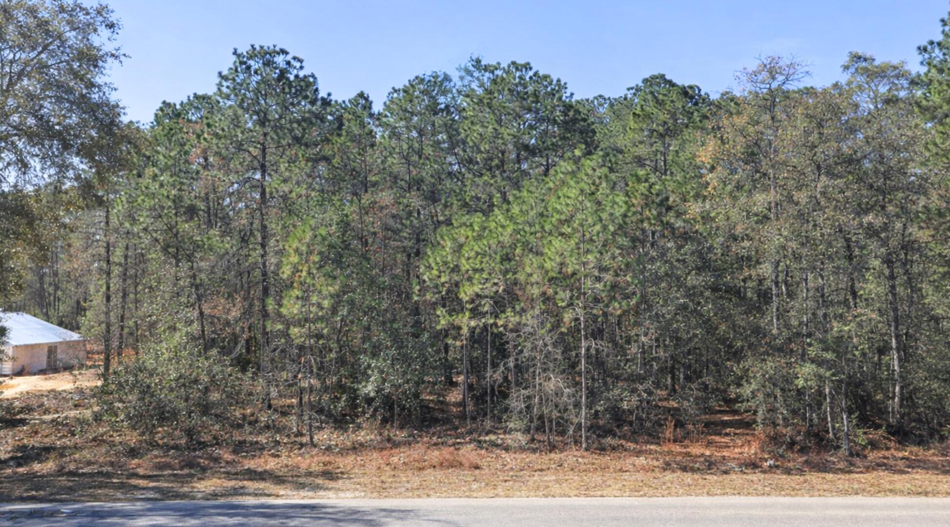 0000 SW Rainelle Road, Dunnellon, FL 34431, Dunnellon