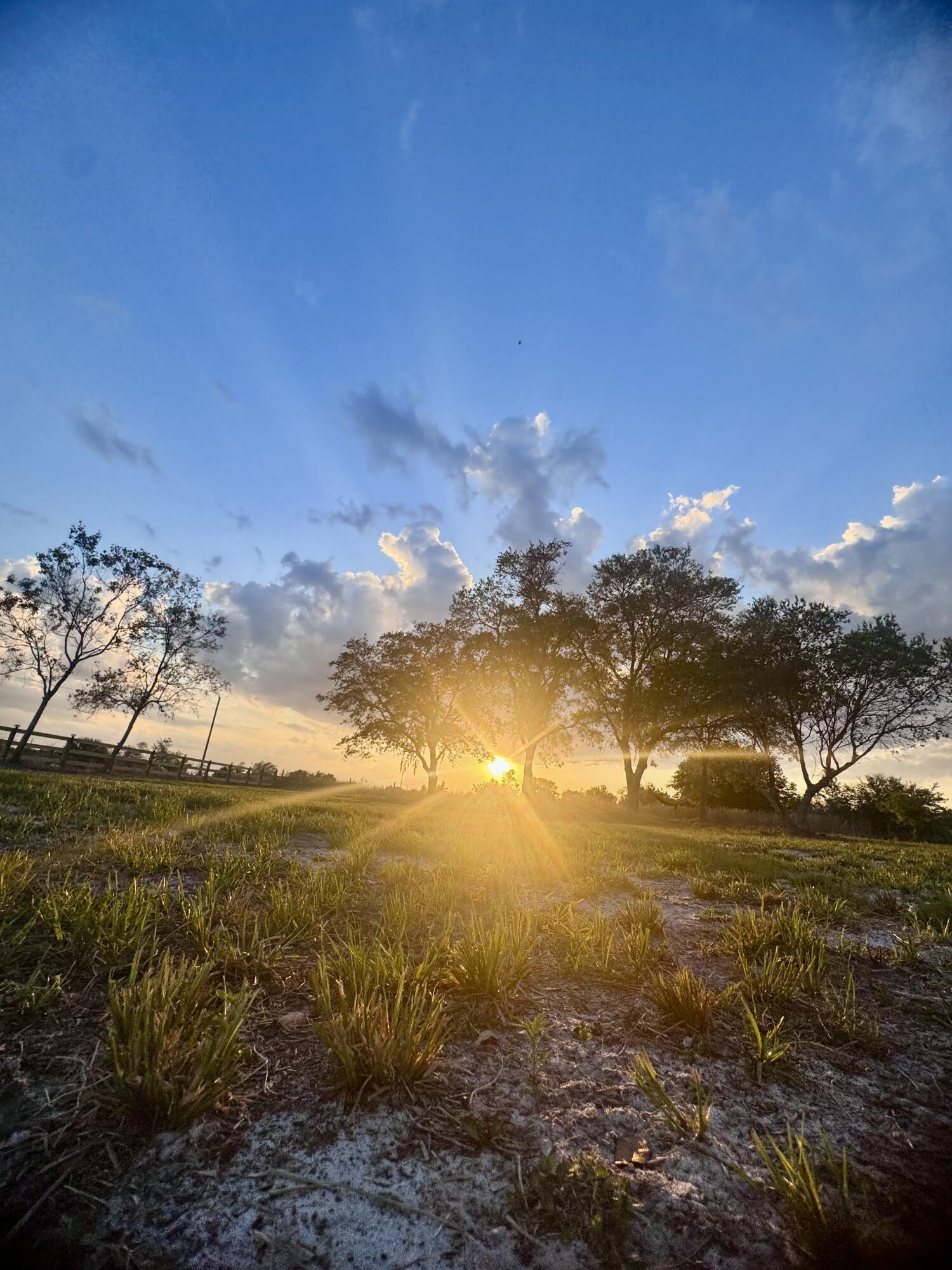14769 NW 244th Street, Okeechobee, FL 34972, Okeechobee - Photo 3