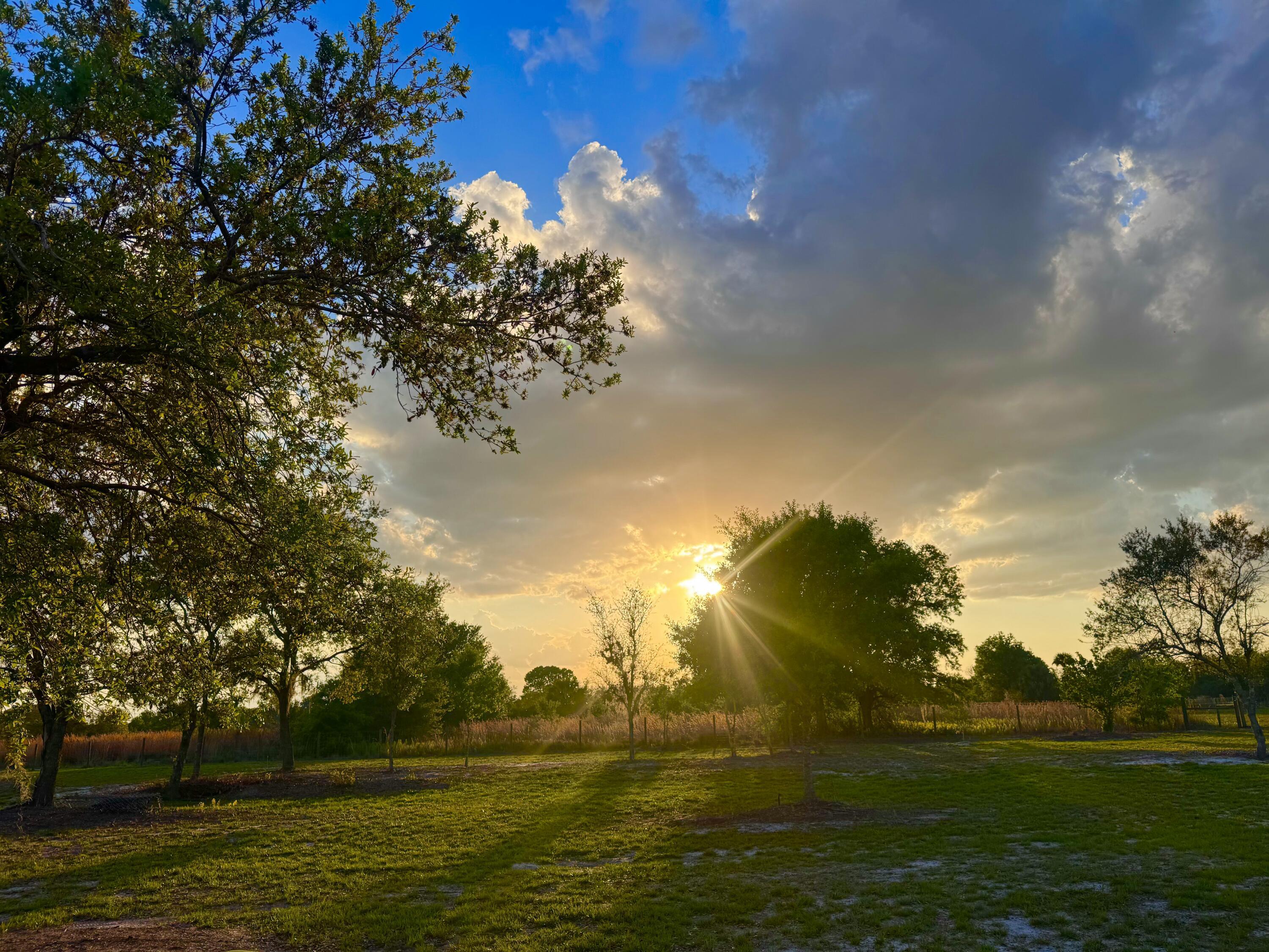 14769 NW 244th Street, Okeechobee, FL 34972, Okeechobee - Photo 4