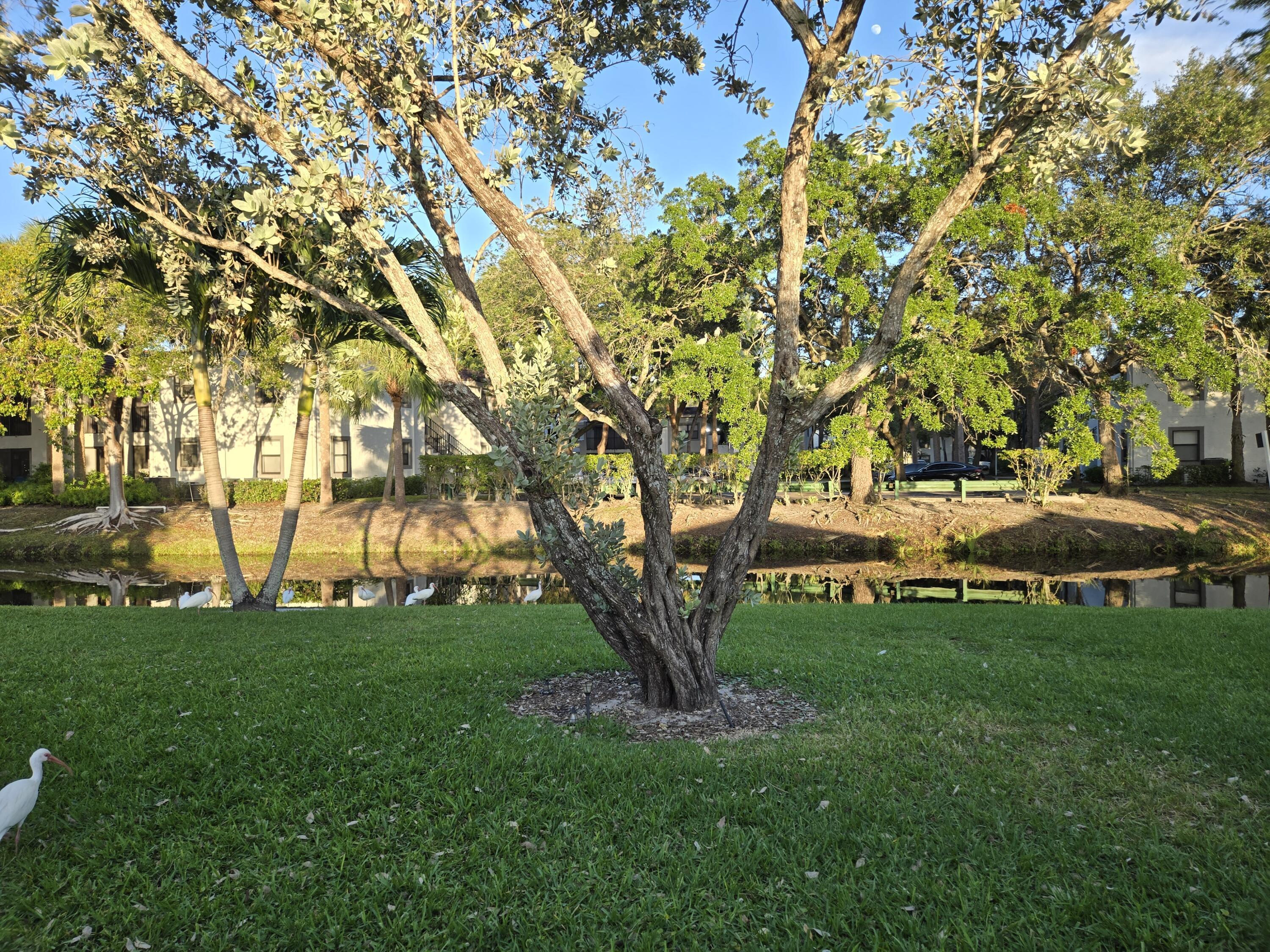1320 NW 82nd Avenue, Plantation, FL 33322, Plantation - Photo 2