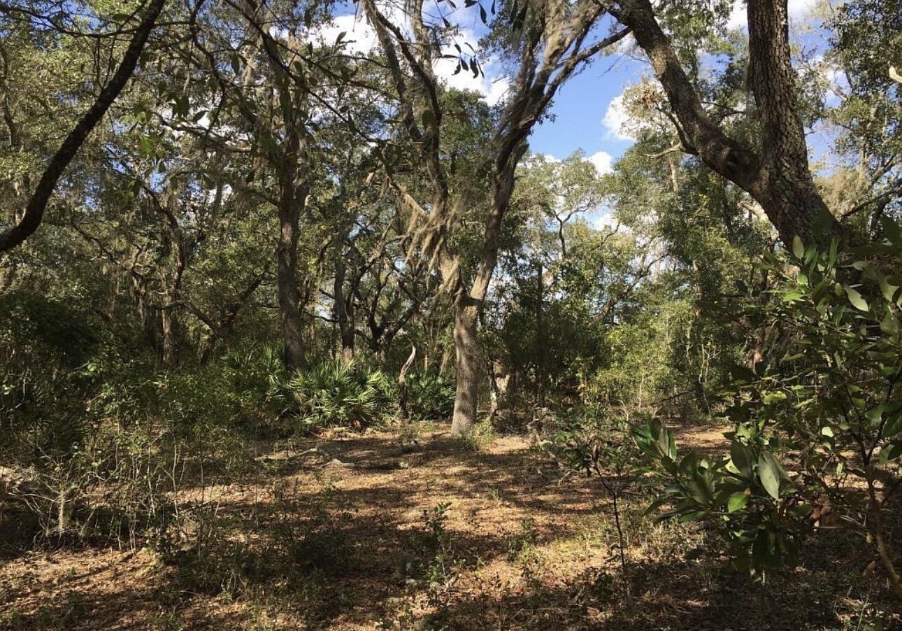 8922 E Gulf To Lake Highway, Inverness, FL 34450, Inverness