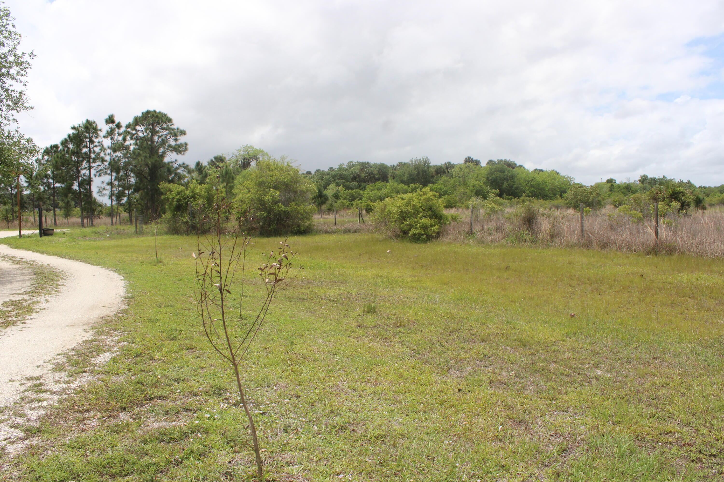 15367 NW 296th Street, Okeechobee, FL 34972, Okeechobee - Photo 5