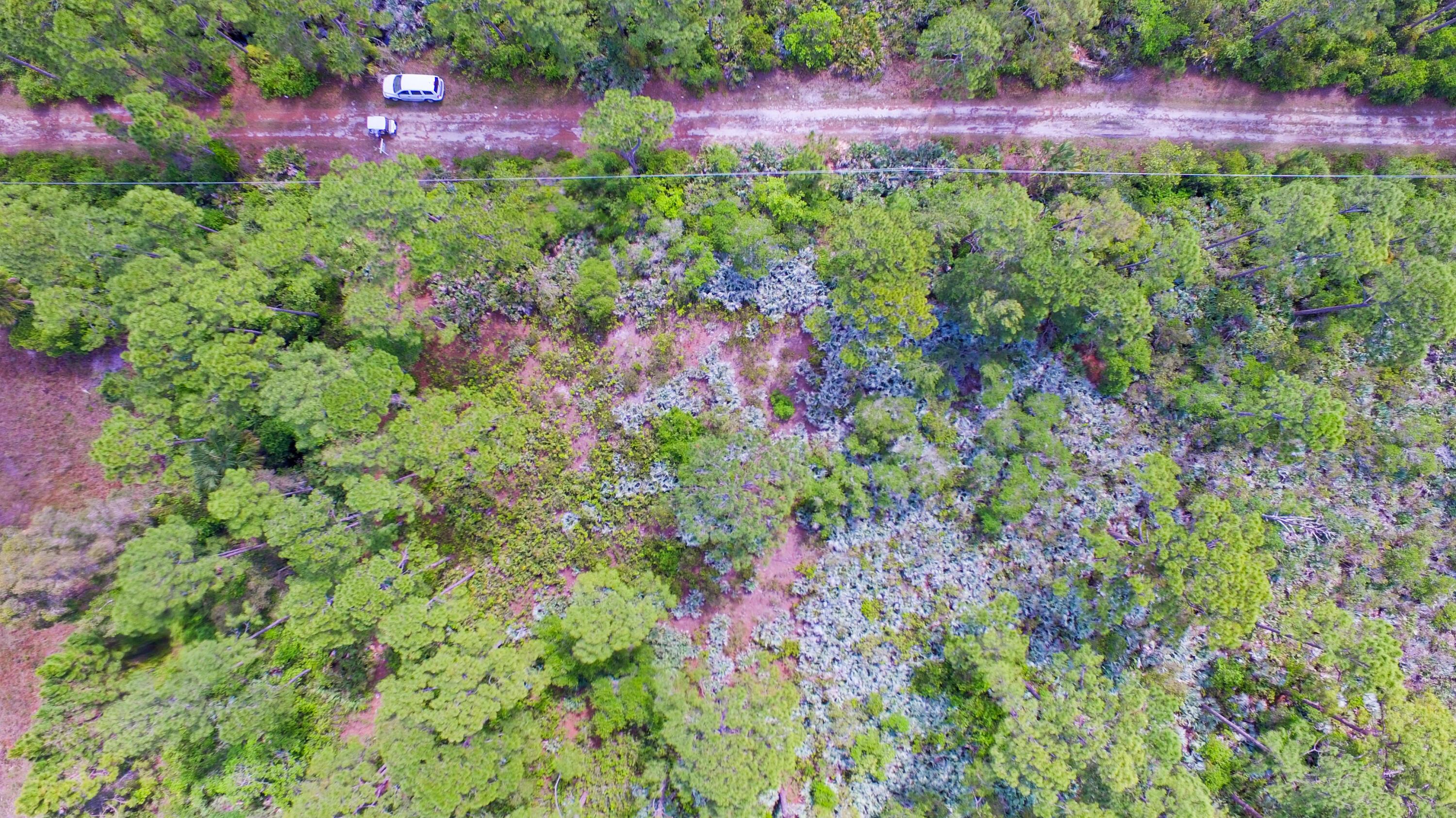 00 Bald Cypress Trail, Fort Pierce, FL 34951, Fort Pierce - Photo 5