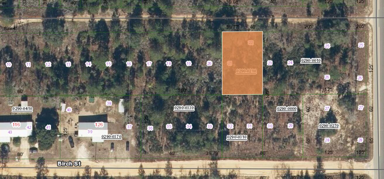 000 Unassigned Location, Interlachen, FL 32148, Interlachen - Photo 4
