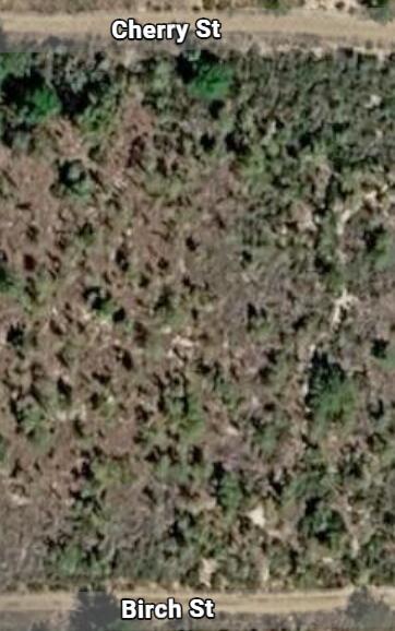 000 Unassigned Location, Interlachen, FL 32148, Interlachen