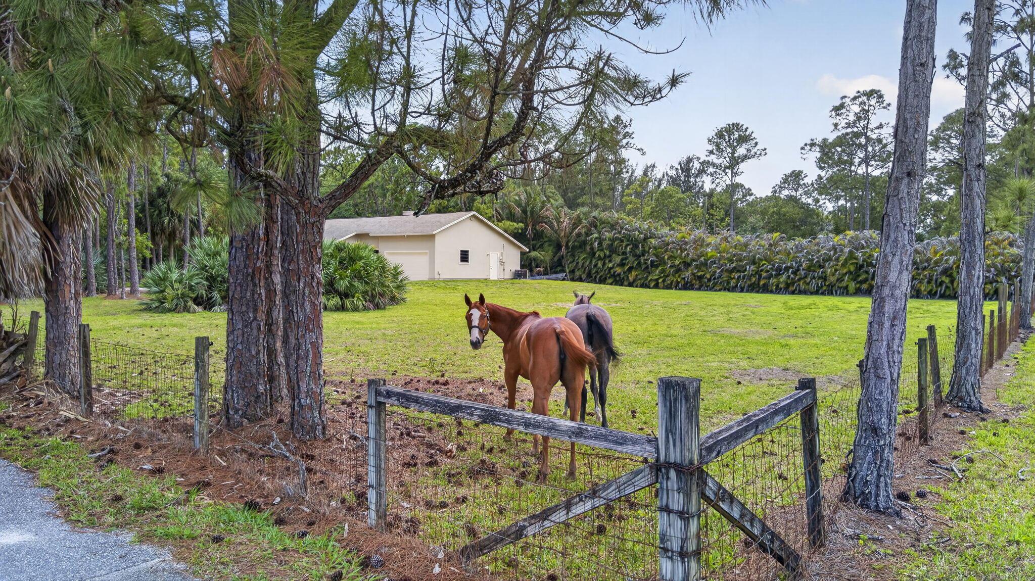 6045 Hall Boulevard, The Acreage, FL 33470, The Acreage
