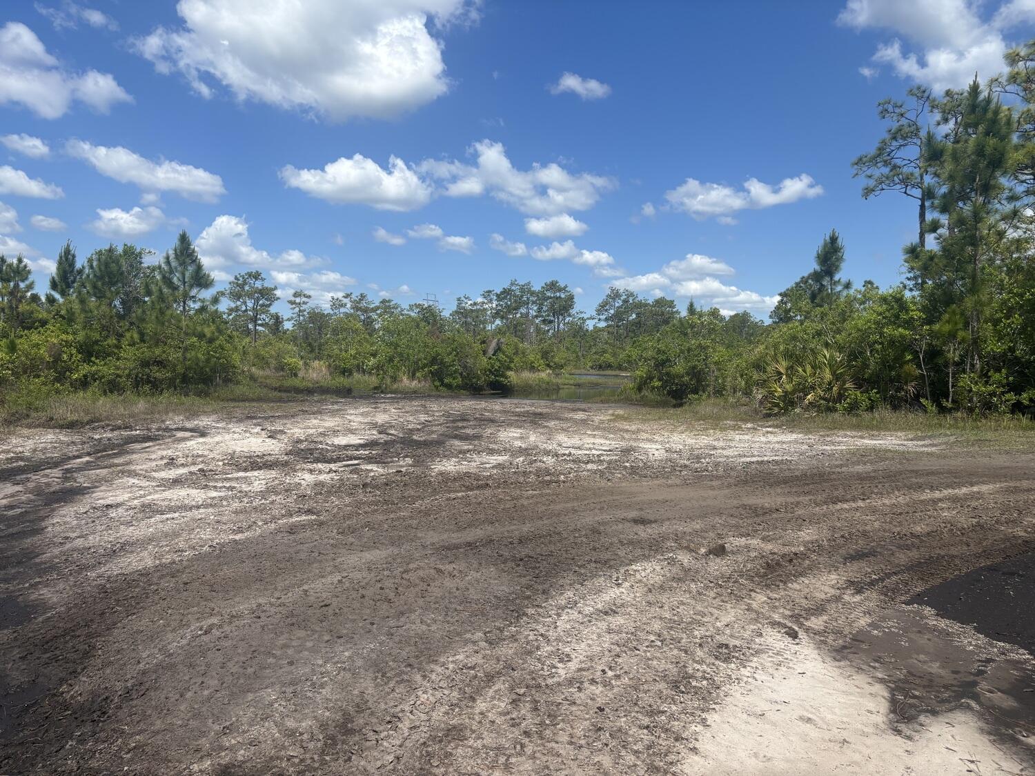 0 Holopaw Groves Road, St. Cloud, FL 34772, St. Cloud - Photo 2