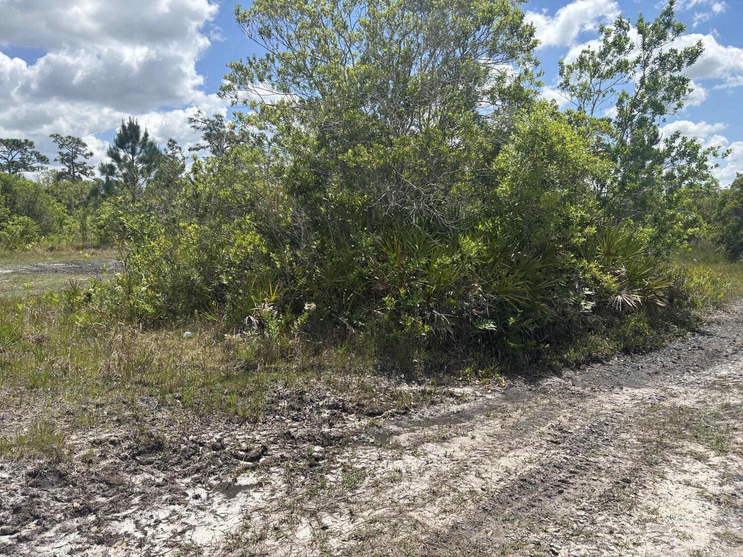 0 Holopaw Groves Road, St. Cloud, FL 34772, St. Cloud - Photo 2