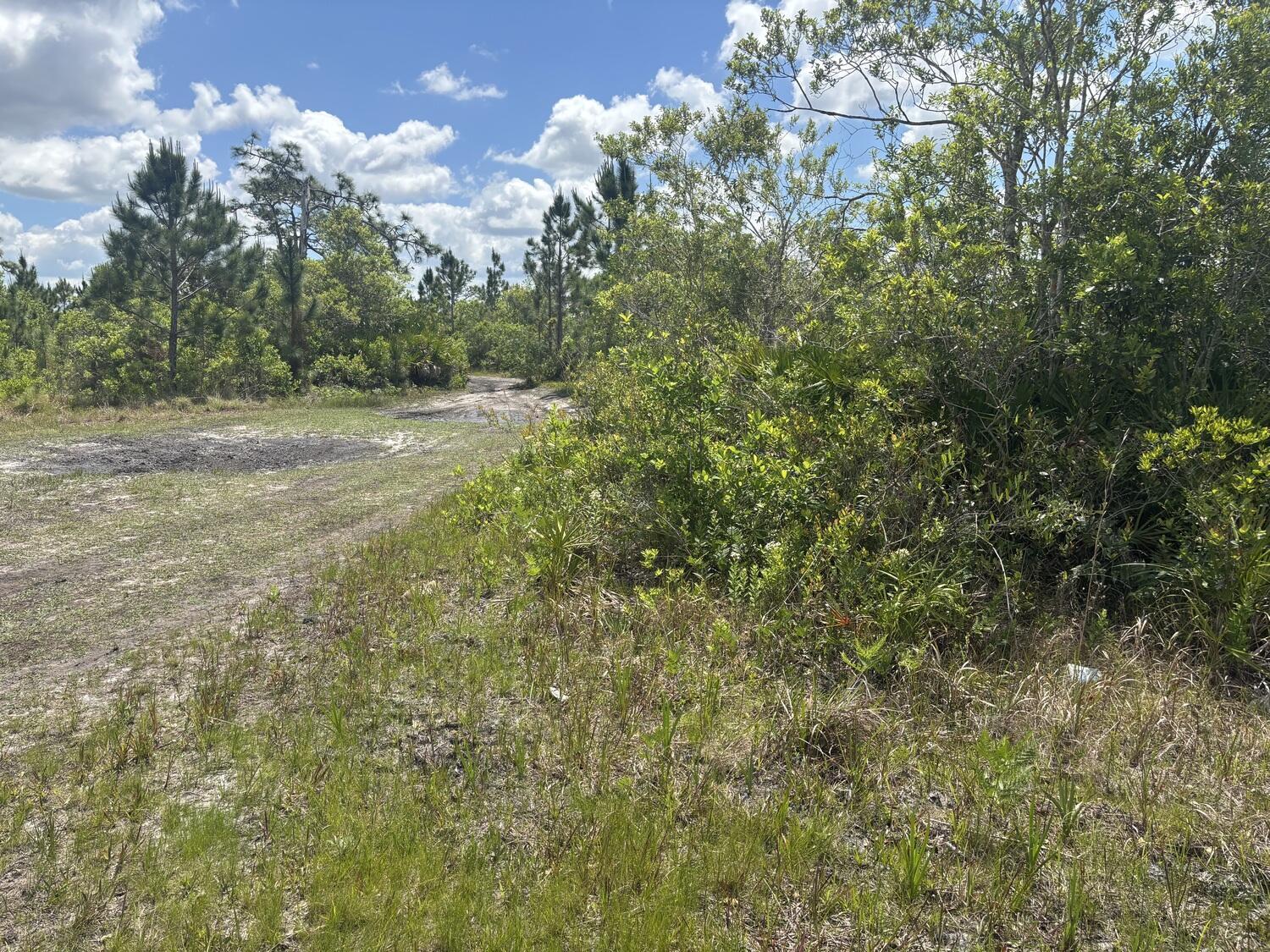 0 Holopaw Groves Road, St. Cloud, FL 34772, St. Cloud - Photo 3
