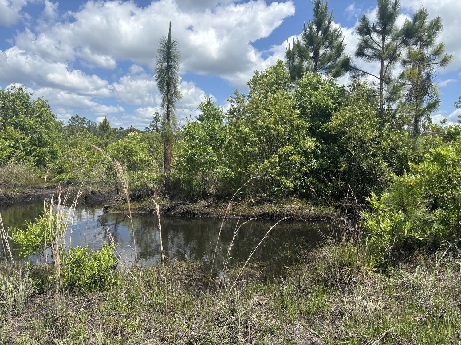 0 Holopaw Groves Road, St. Cloud, FL 34772, St. Cloud - Photo 2