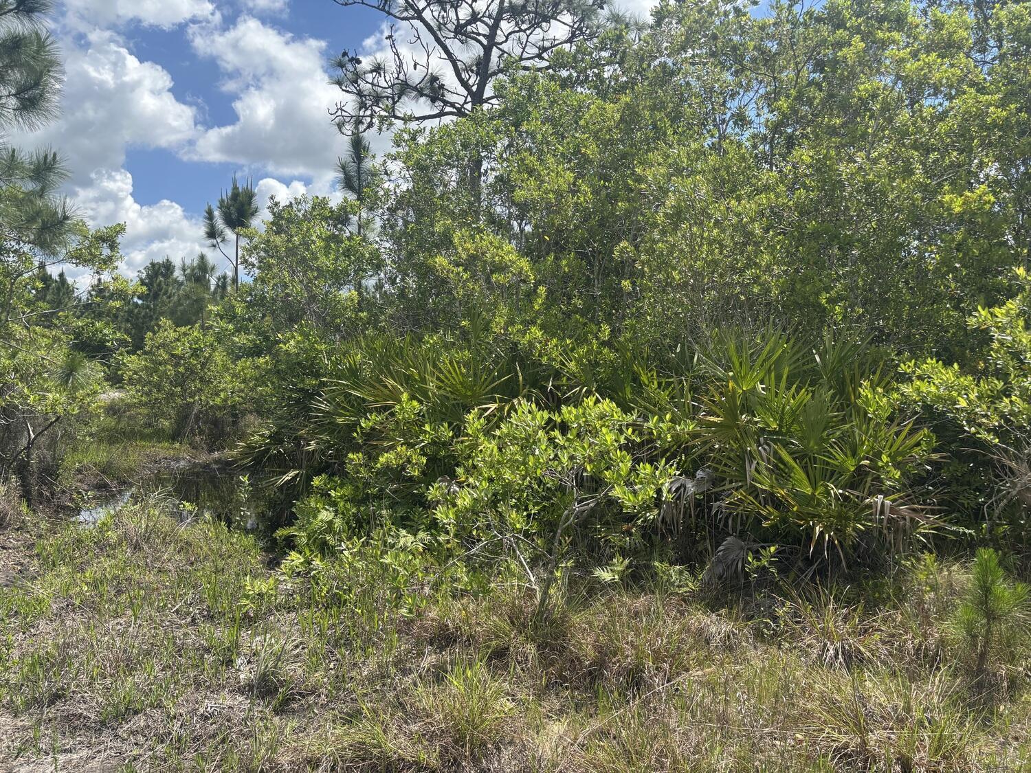 0 Holopaw Groves Road, St. Cloud, FL 34772, St. Cloud