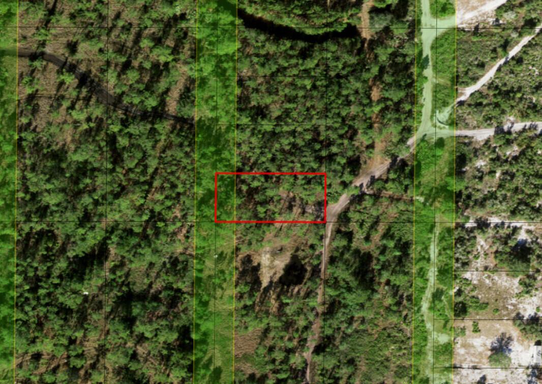 0 Holopaw Groves Road, St. Cloud, FL 34772, St. Cloud - Photo 3
