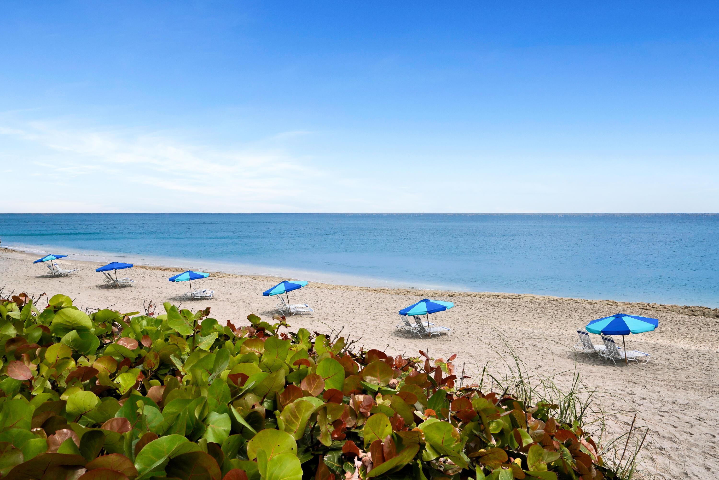 4100 N Ocean Drive 803, Singer Island, FL 33404, Singer Island - Photo 5