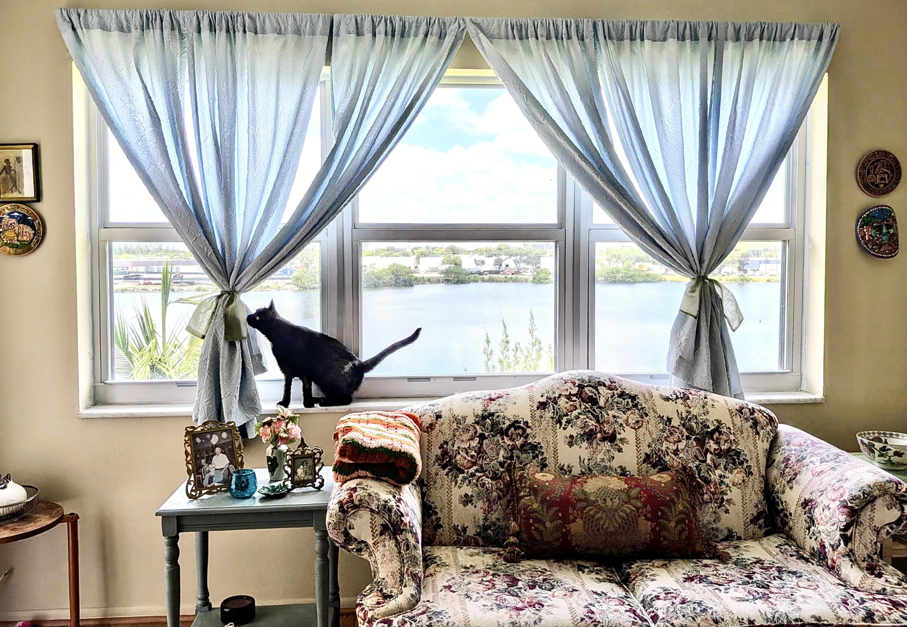 4311 Crystal Lake Drive 407, Deerfield Beach, FL 33064, Deerfield Beach - Photo 4
