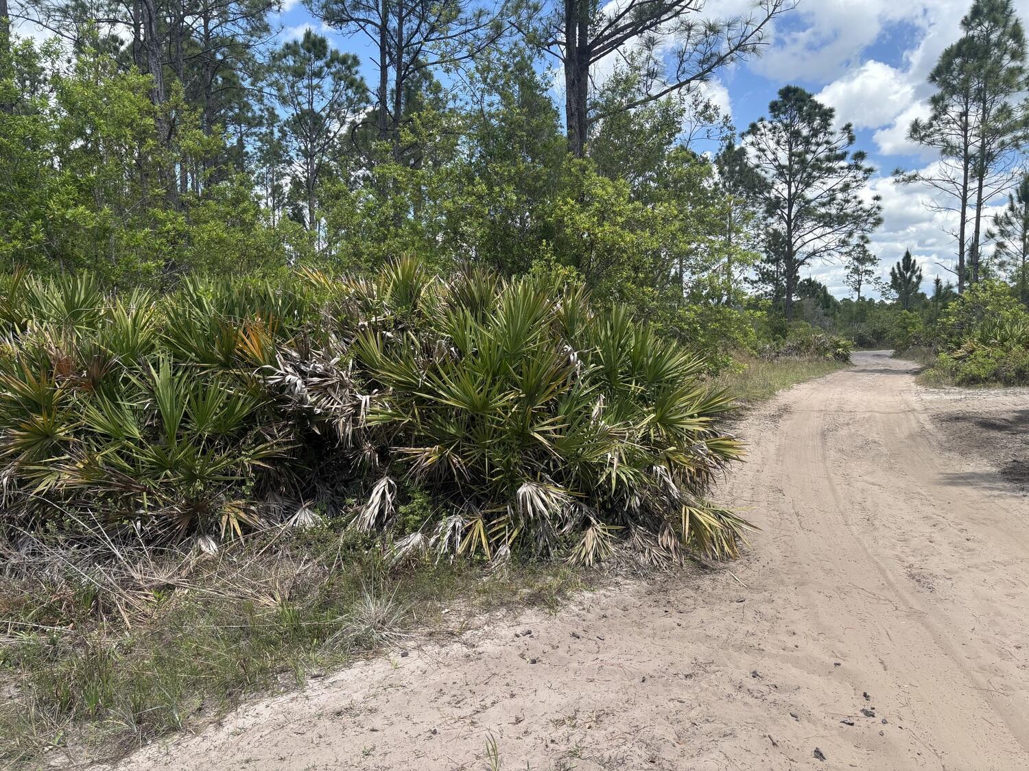0 Holopaw Groves Road, St. Cloud, FL 34772, St. Cloud - Photo 2
