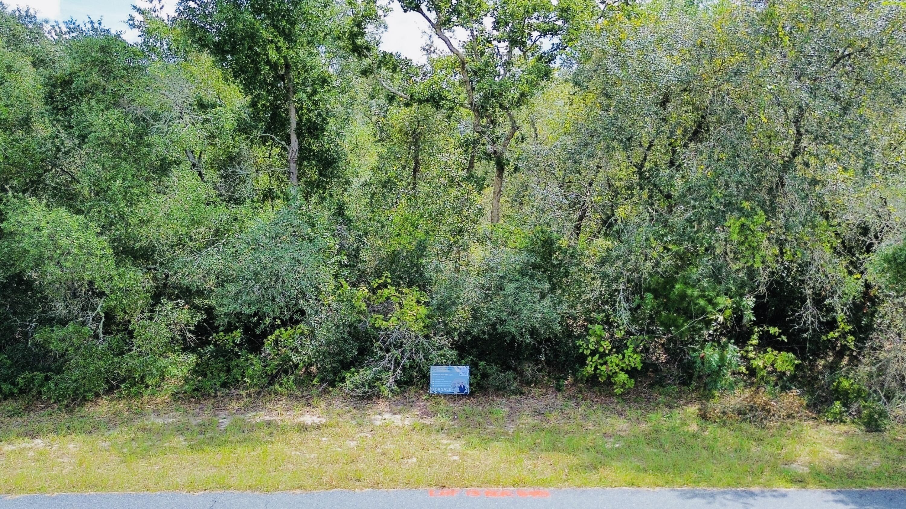Tbd SW 37th Avenue, Ocala, FL 34473, Ocala - Photo 2