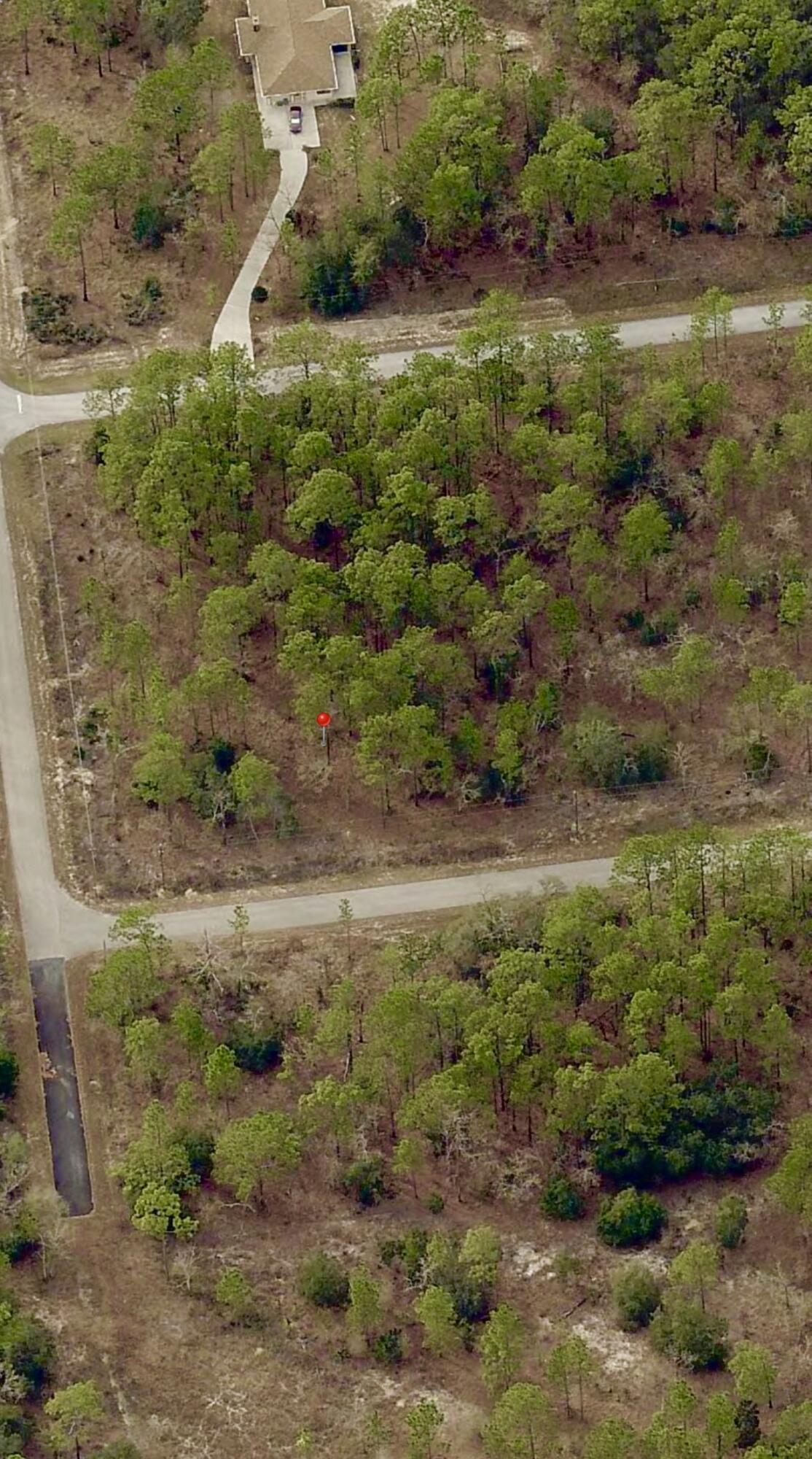 Tbd SW Buena Vista Road, Dunnellon, FL 34431, Dunnellon - Photo 5