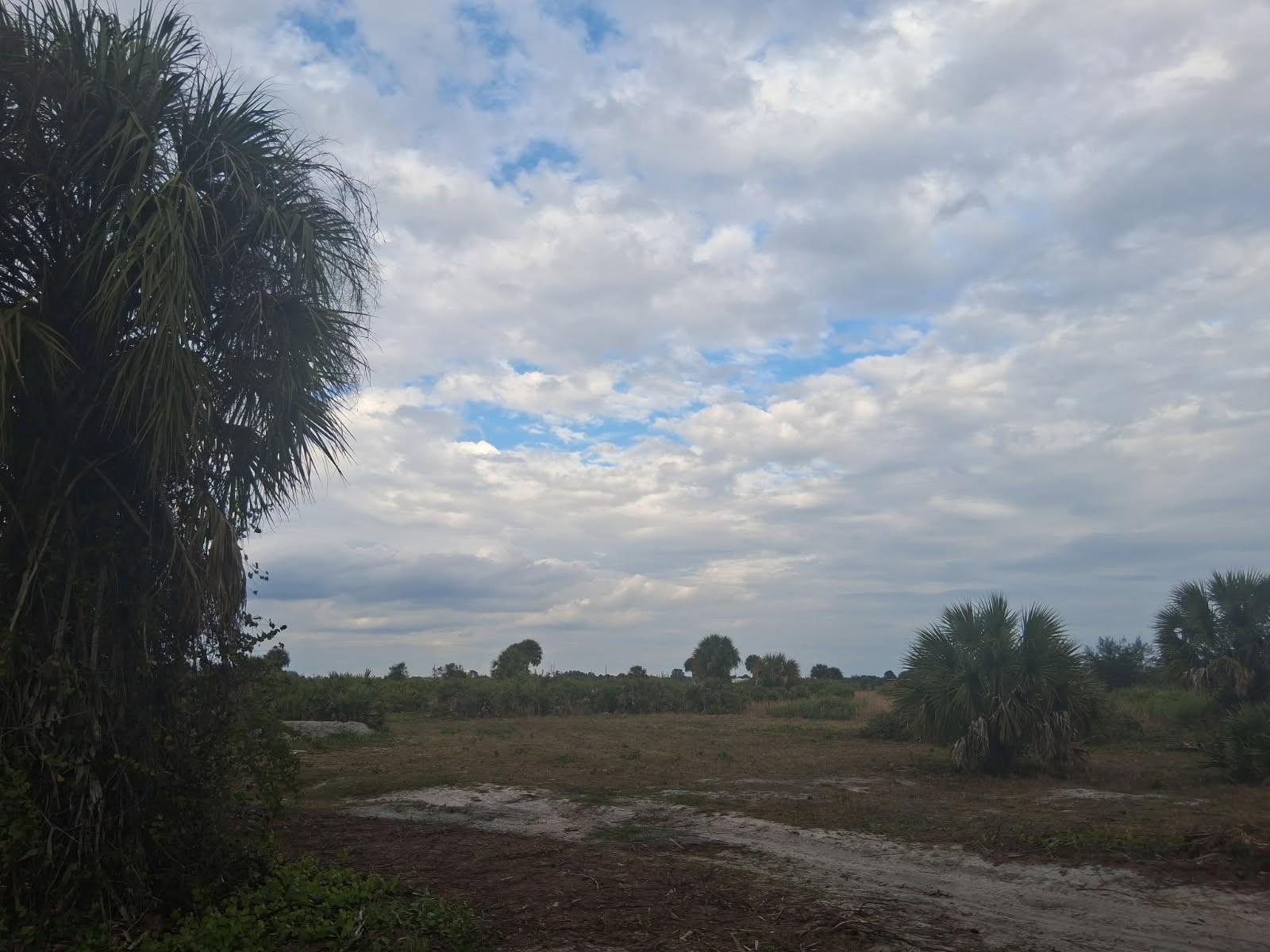 21583 NW 274th Street, Okeechobee, FL 34972, Okeechobee - Photo 2